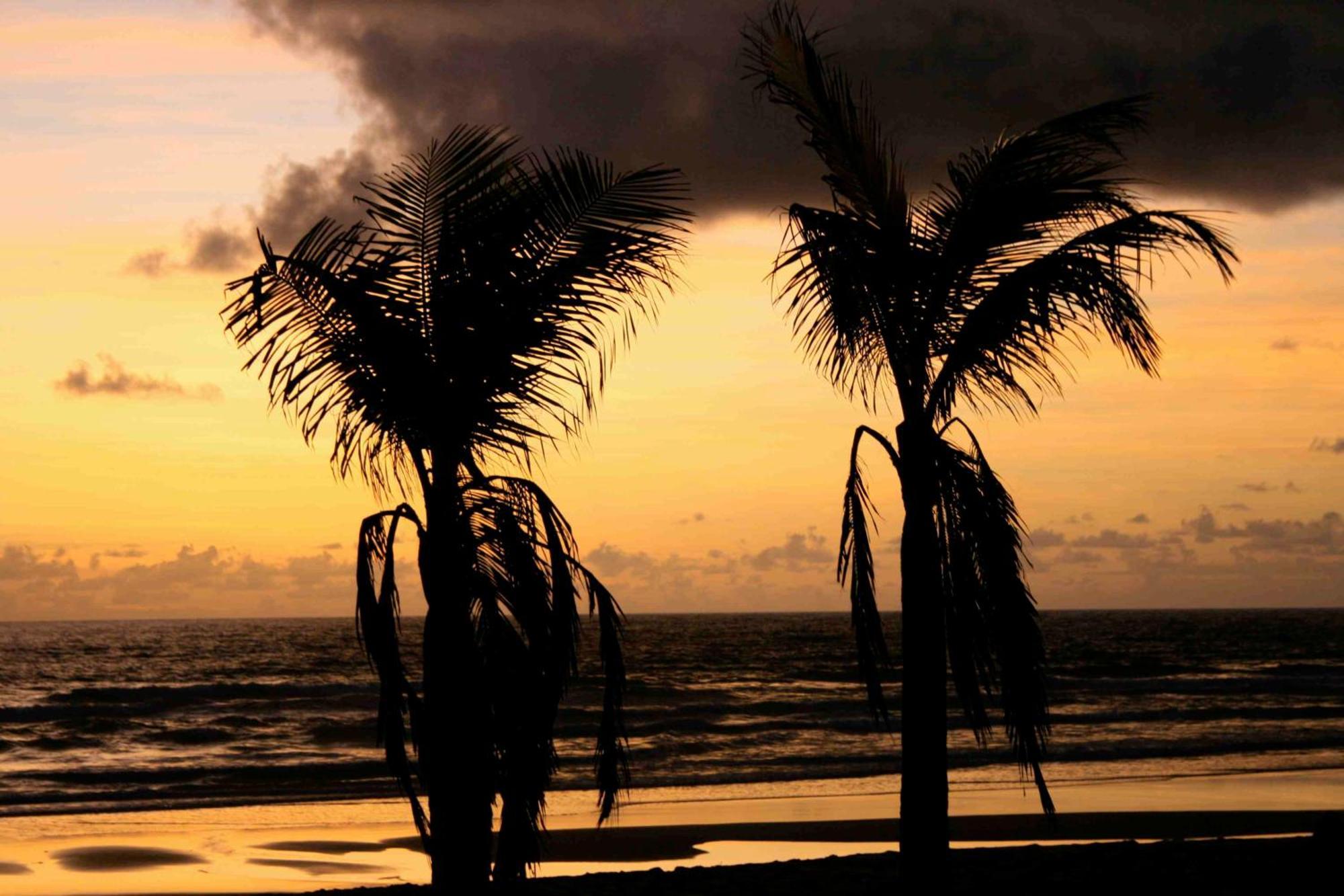 Dreamland Bungalows - Taipu De Fora - Barra Grande Barra Grande  Εξωτερικό φωτογραφία